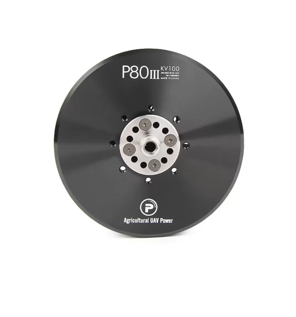 Tiger Motor l TMotor P80
