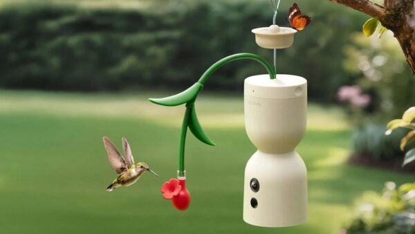 Birdfy Hum Bloom Smart Bird Feeder