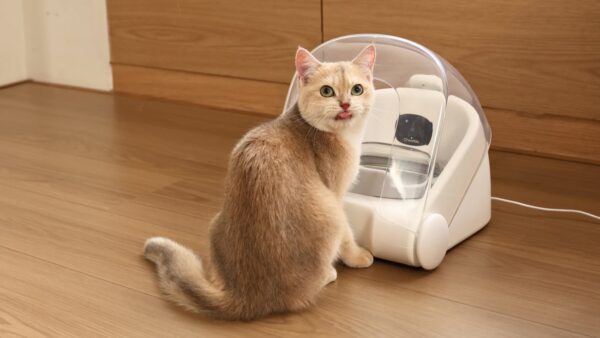 Cheerble Match G1 Smart Pet Feeder