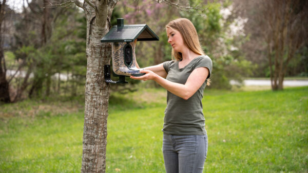 FeatherSnap Seed Feeder