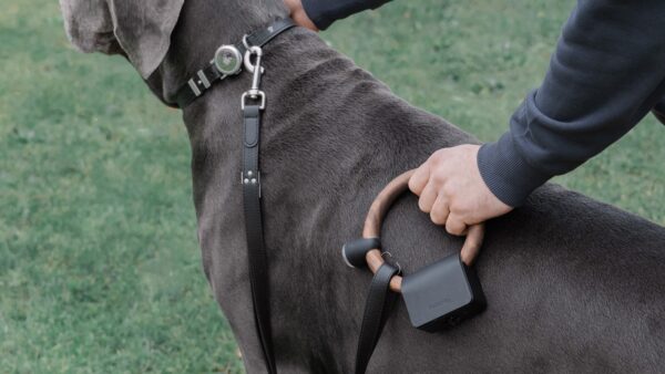 Fetchly Magnetic Dog Walking System