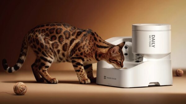 Petkit Yumshare Daily Feast AI Wet Food Feeder