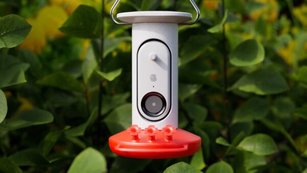 Bird Buddy Ai Smart Hummingbird Feeder Smart Camera Recognizes Birds