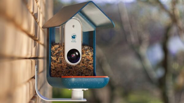 Smart Bird Feeder