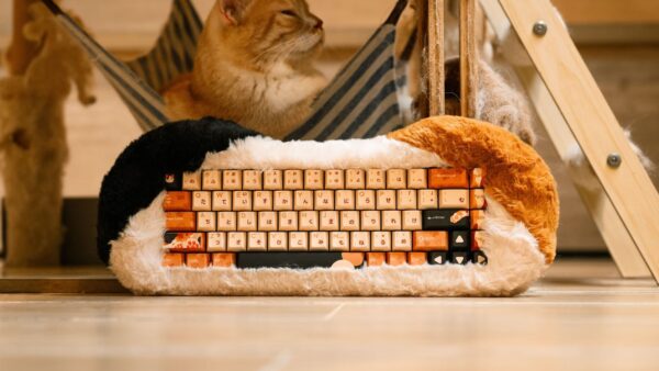 Dry Studio Petbrick 65 Custom Mechanical Keyboard