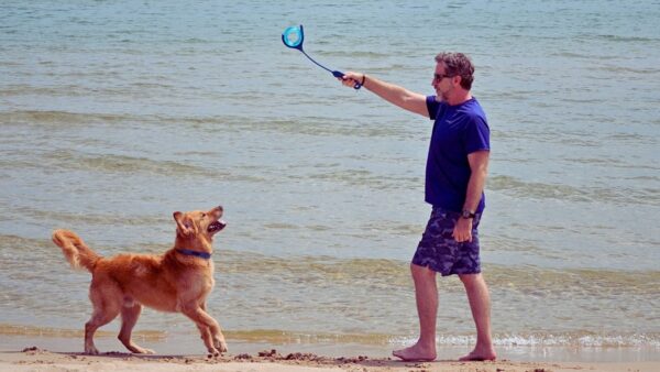 Gitit Max High Performance Dog Toy