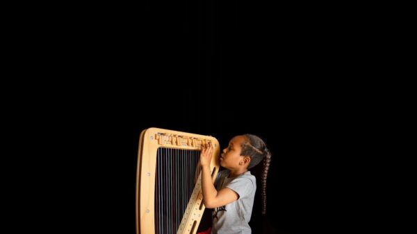 Harp E Portable Electro Acoustic Harp