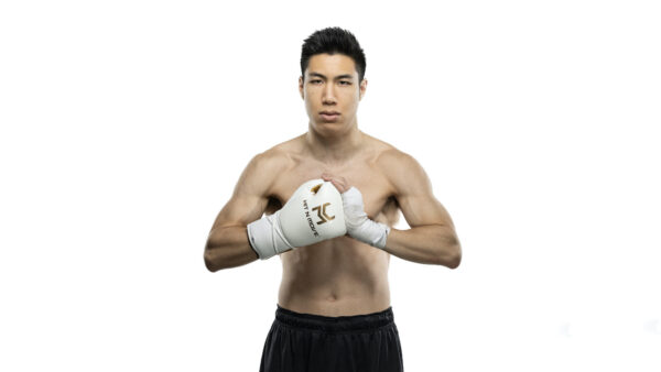 Hit N Move Boxing Training Gloves