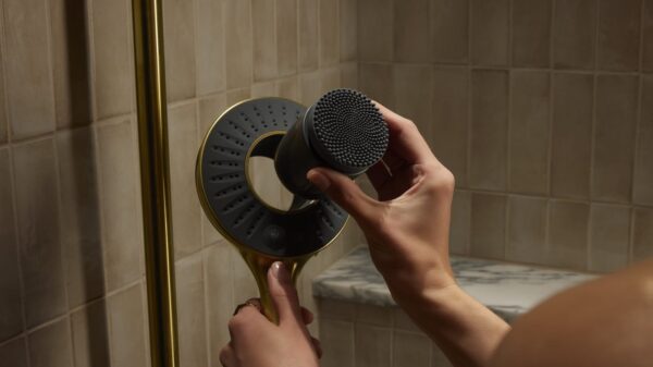 Kohler Spaviva Handshower