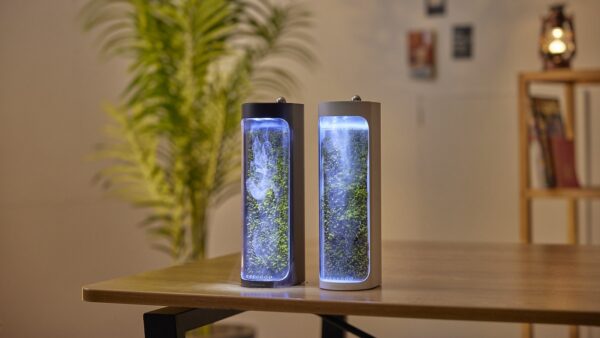 Moss Air Terrarium Purifier