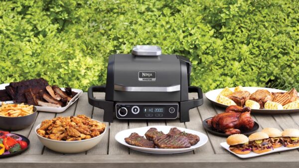 Ninja Woodfire Outdoor Grill Offers 7cooking Functions From Dehydrating To Air Crisping