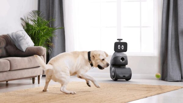Ogmen Oro Robot Companion For Dogs
