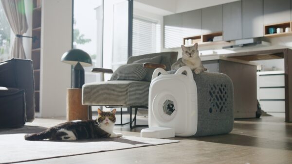 Pawswing Purrring Automatic Cat Self Groomer