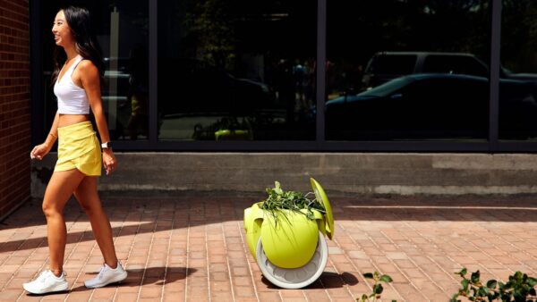 Gitamini Cargo Carrying Robot Holds Your Gear You Can Walk For Miles