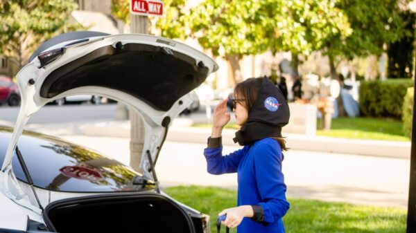 Pluto Pod Travel Pillow
