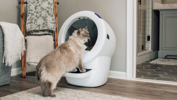 Whisker Litter Robot4 Wi Fi Self Cleaning Litter Box